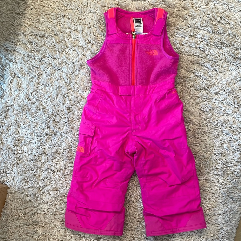 The North Face Snow Bibs